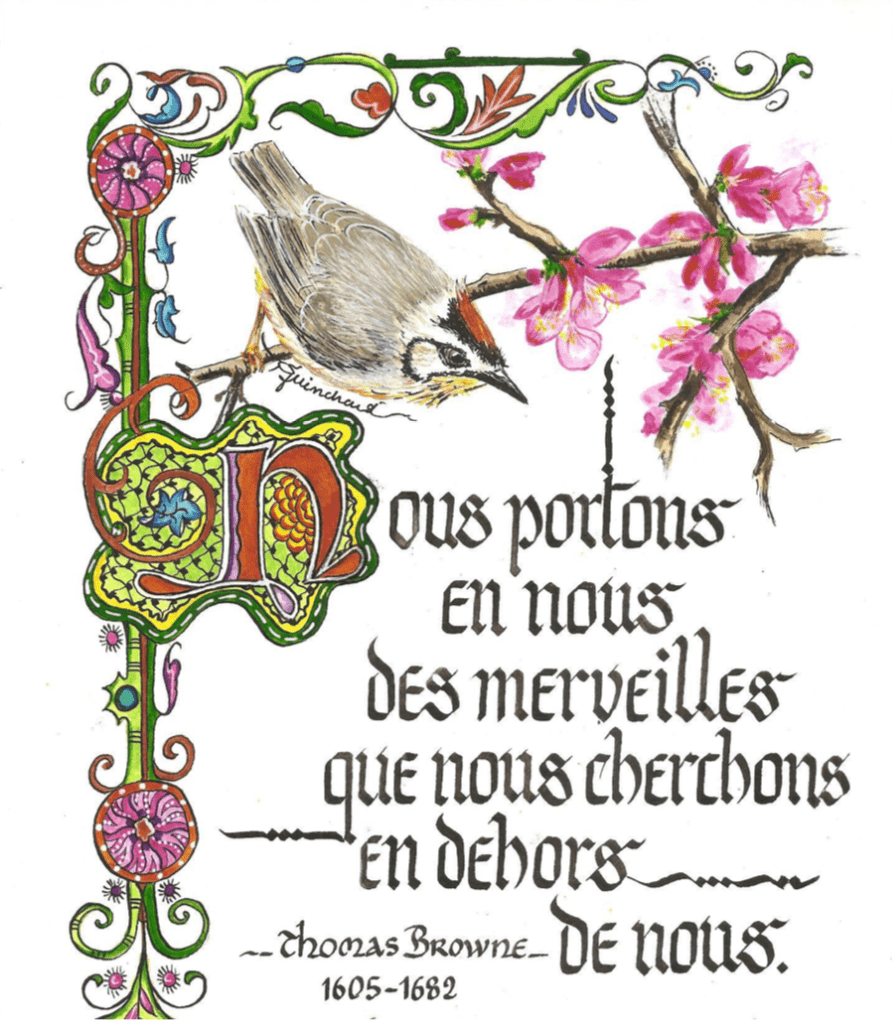 Stage calligraphies et enluminures