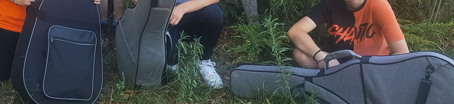 Stage Guitare & Orchestre éphémère