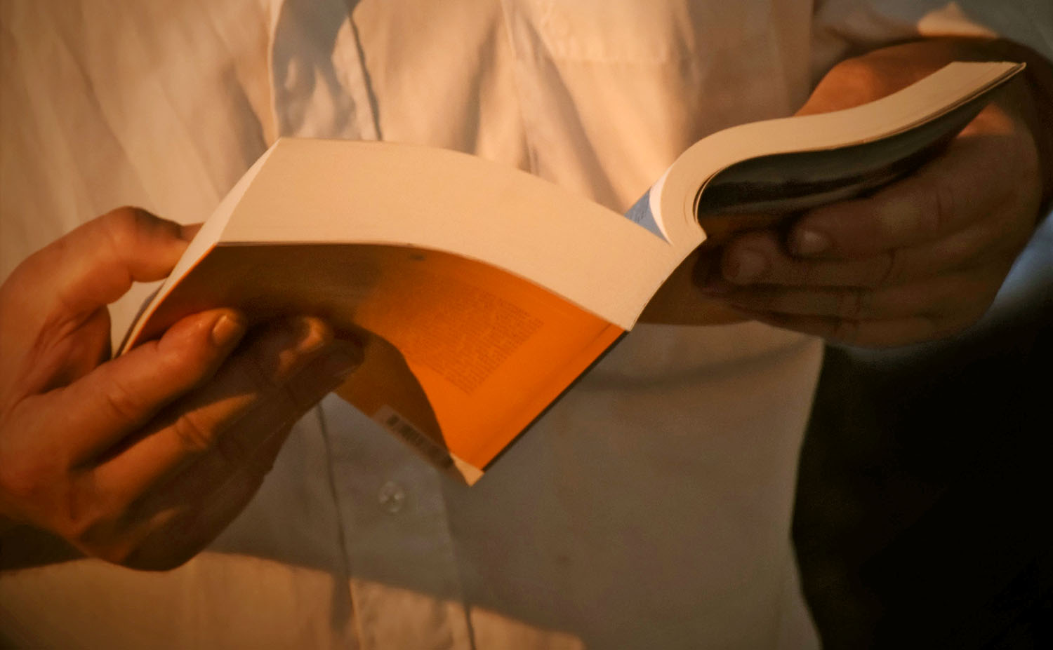 Stage Lecture à Voix haute