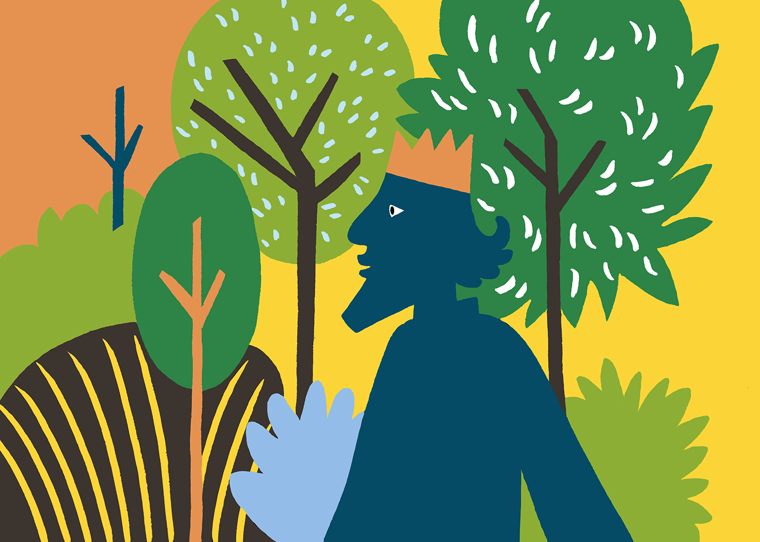 illustration de Catherine Chion pour l'Oiseau de liberté