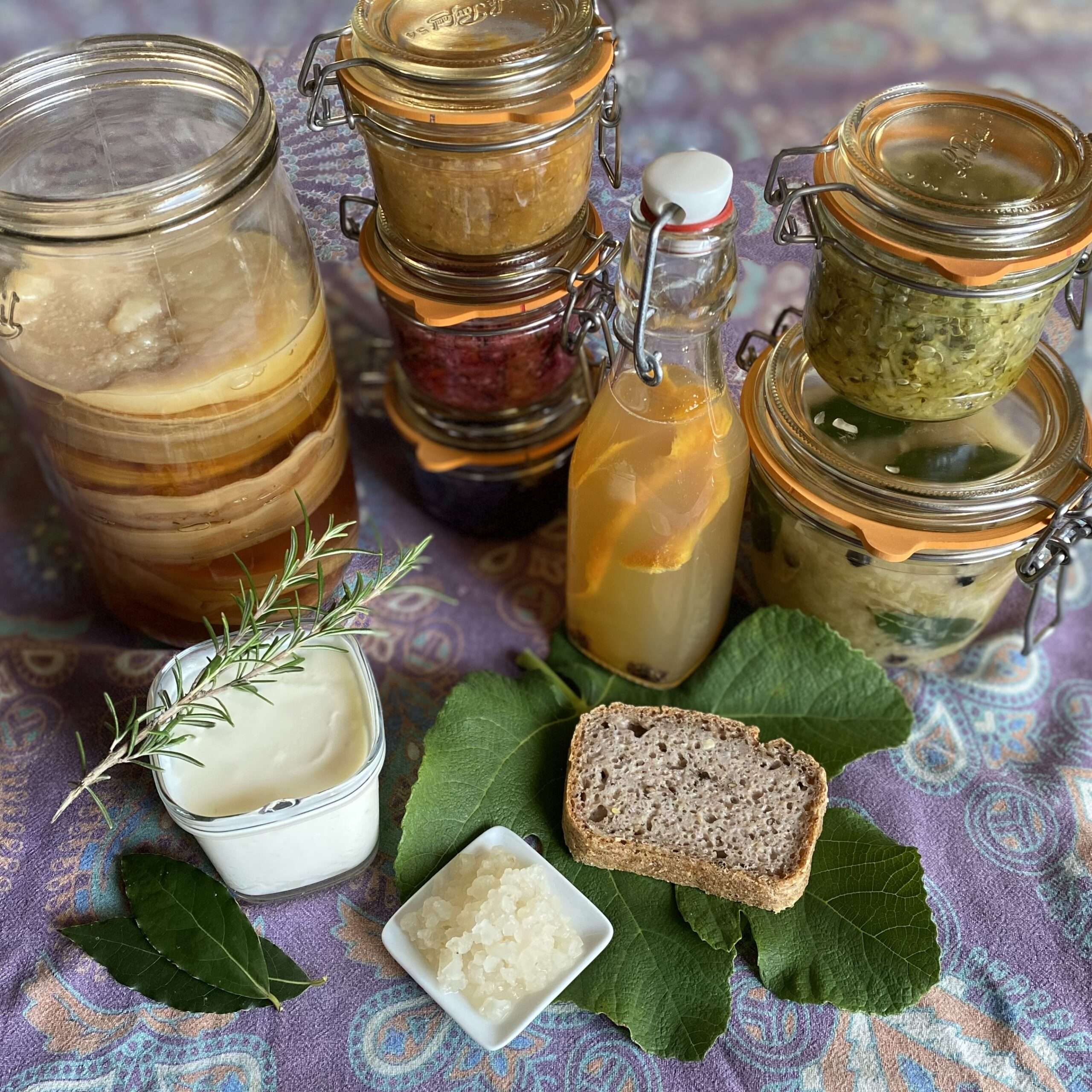 Stage Fermentations en cuisine