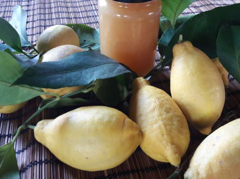 Citrons illustrant le stage théâtre autour des arts de la table